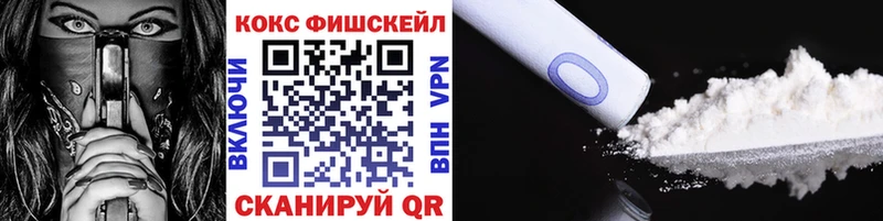 Cocaine Fish Scale  Купить закладки  Белая Холуница 
