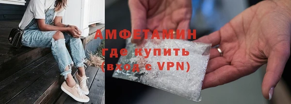 молекула духа Козельск