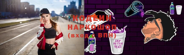 молекула духа Козельск