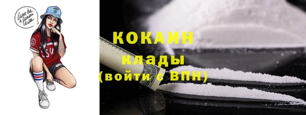 молекула духа Козельск