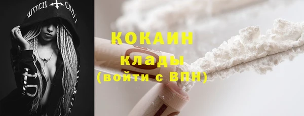 молекула духа Козельск