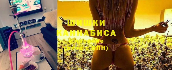 молекула духа Козельск