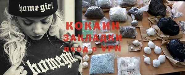 молекула духа Козельск