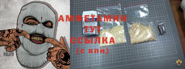 молекула духа Козельск
